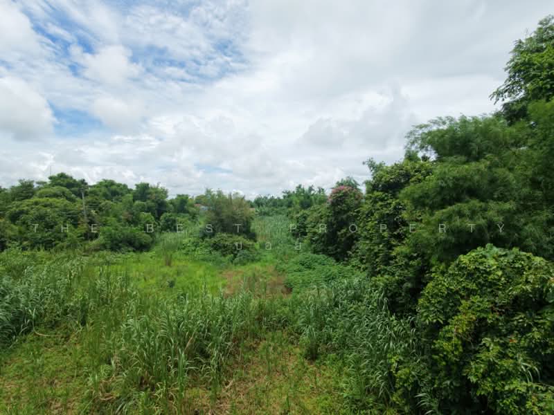 ที่ดินฝาง เชียงใหม่, เชียงใหม่, เวียง, ฝาง, เชียงใหม่, 6,228 ตร.ม., ที่ดิน ขาย, โดย The Best Property บอย, 500470087 - DDproperty.com