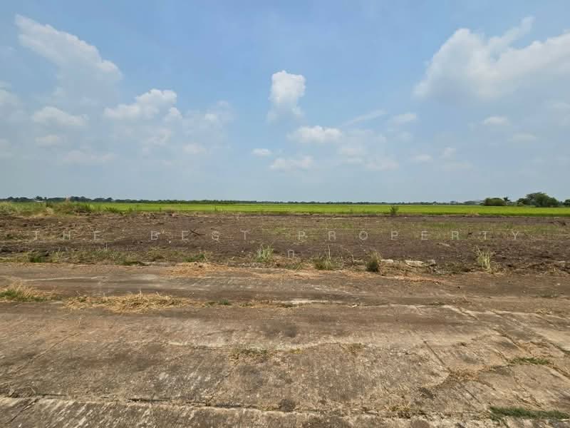 ที่ดินคลองหลวง ปทุมธานี, Pathum Thani, Khlong Hok, Khlong Luang, Pathum Thani, , 720 sqm, Land For Sale, by The Best Property นก, 500470105 - DDproperty.com