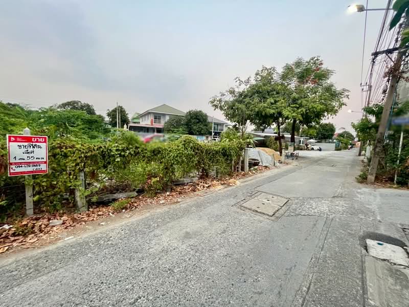 ที่ดินปากน้ำ สมุทรปราการ, Samut Prakan, Pak Nam, Muang Samut Prakarn, Samut Prakan, , 620 sqm, Land For Sale, by The Best Property ทัศ, 500470109 - DDproperty.com