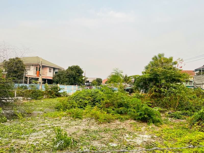 ที่ดินปากน้ำ สมุทรปราการ, Samut Prakan, Pak Nam, Muang Samut Prakarn, Samut Prakan, , 620 sqm, Land For Sale, by The Best Property ทัศ, 500470109 - DDproperty.com