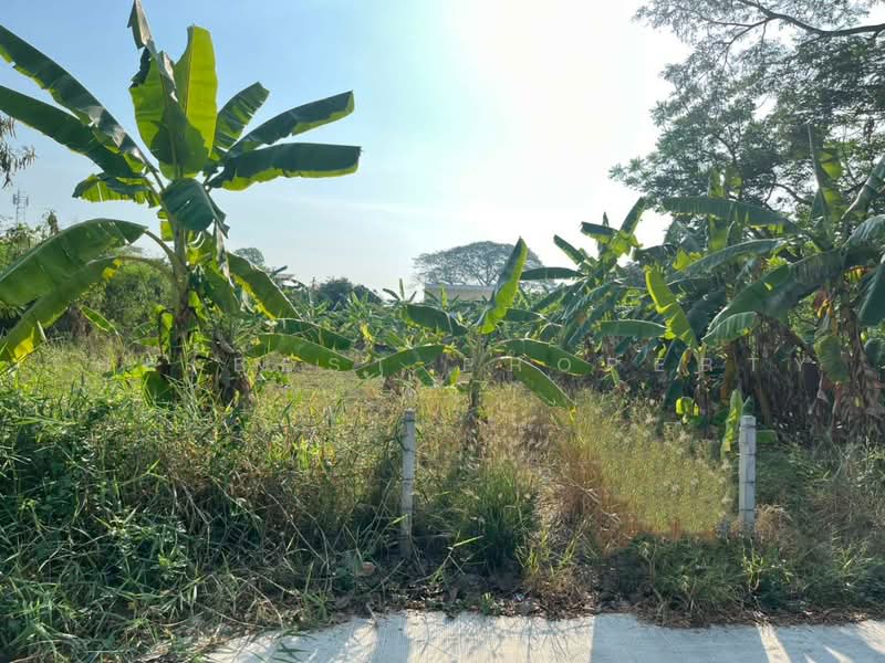ที่ดินหนองแขม กรุงเทพมหานคร, กรุงเทพ, หนองค้างพลู, หนองแขม, กรุงเทพ, 724 ตร.ม., ที่ดิน ขาย, โดย The Best Property พิ้ง, 500470129 - DDproperty.com