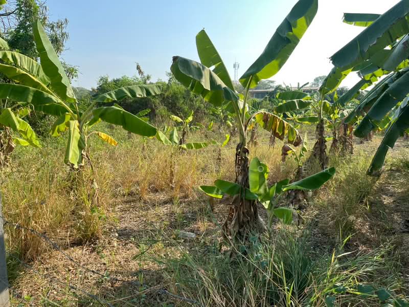 ที่ดินหนองแขม กรุงเทพมหานคร, กรุงเทพ, หนองค้างพลู, หนองแขม, กรุงเทพ, 724 ตร.ม., ที่ดิน ขาย, โดย The Best Property พิ้ง, 500470129 - DDproperty.com
