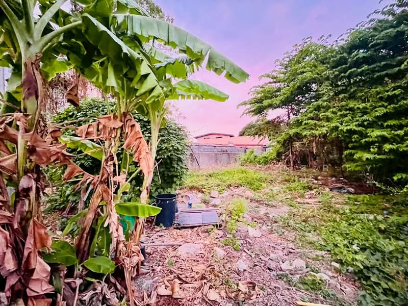 ที่ดินปากน้ำ สมุทรปราการ, สมุทรปราการ, ปากน้ำ, เมืองสมุทรปราการ, สมุทรปราการ, 443 ตร.ม., ที่ดิน ขาย, โดย The Best Property ทัศ, 500470137 - DDproperty.com