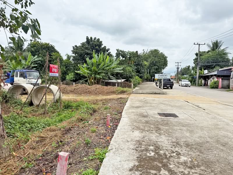 ที่ดินสันกำแพง เชียงใหม่, เชียงใหม่, ต้นเปา, สันกำแพง, เชียงใหม่, 3,105 ตร.ม., ที่ดิน ขาย, โดย The Best Property บอย, 500470166 - DDproperty.com