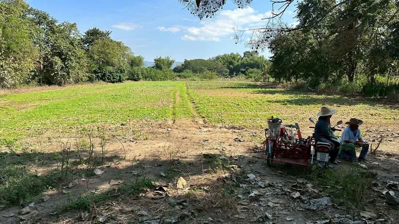 ที่ดินเปล่าที่ติดแม่น้ำปิง 1 ไร่ 3 งาน 82 ตารางวา, Chiang Mai, Ki Lek, Mae Rim, Chiang Mai, , 3,128 sqm, Land For Sale, by ERA Thailand, 500470172 - DDproperty.com