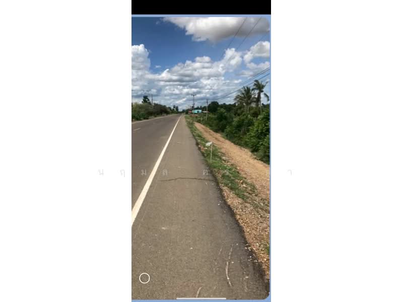 วังหมัน, ชัยนาท, วังหมัน, วัดสิงห์, ชัยนาท, 33,416 ตร.ม., ที่ดิน ขาย, โดย นฤมล ครั่งฝา, 500470193 - DDproperty.com