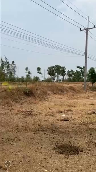 วังหมัน, ชัยนาท, วังหมัน, วัดสิงห์, ชัยนาท, 33,416 ตร.ม., ที่ดิน ขาย, โดย นฤมล ครั่งฝา, 500470193 - DDproperty.com