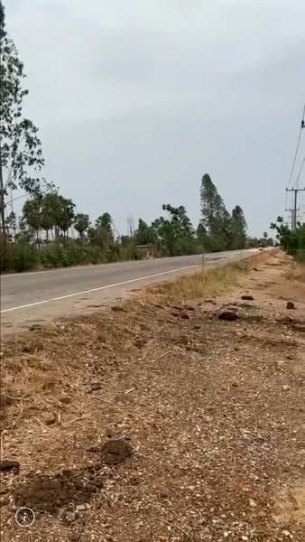 วังหมัน, ชัยนาท, วังหมัน, วัดสิงห์, ชัยนาท, 33,416 ตร.ม., ที่ดิน ขาย, โดย นฤมล ครั่งฝา, 500470193 - DDproperty.com