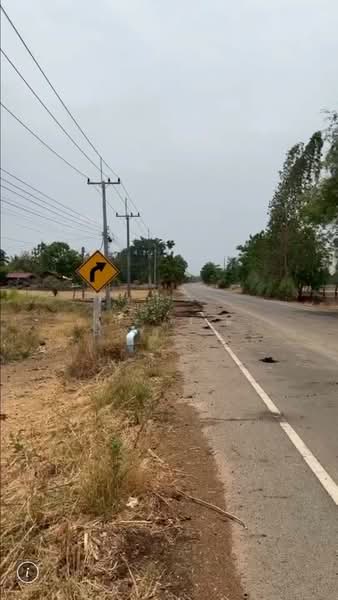 วังหมัน, ชัยนาท, วังหมัน, วัดสิงห์, ชัยนาท, 33,416 ตร.ม., ที่ดิน ขาย, โดย นฤมล ครั่งฝา, 500470193 - DDproperty.com