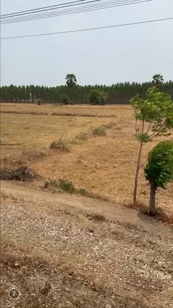 วังหมัน, Chai Nat, Wang Man, Wat Sing, Chai Nat, , 33,416 sqm, Land For Sale, by นฤมล ครั่งฝา, 500470193 - DDproperty.com