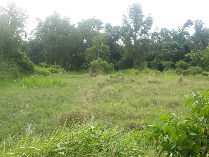 ที่ดินหนองจอก กรุงเทพมหานคร, กรุงเทพ, หนองจอก, กรุงเทพ, 348 ตร.ม., ที่ดิน ขาย, โดย The Best Property หนึ่ง, 500470199 - DDproperty.com