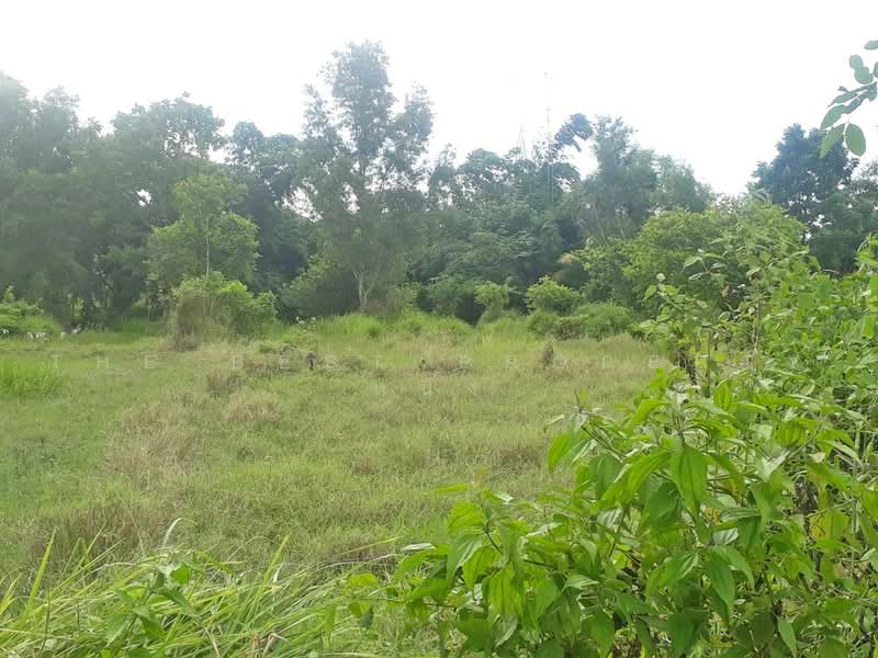 ที่ดินหนองจอก กรุงเทพมหานคร, กรุงเทพ, หนองจอก, กรุงเทพ, 348 ตร.ม., ที่ดิน ขาย, โดย The Best Property หนึ่ง, 500470199 - DDproperty.com
