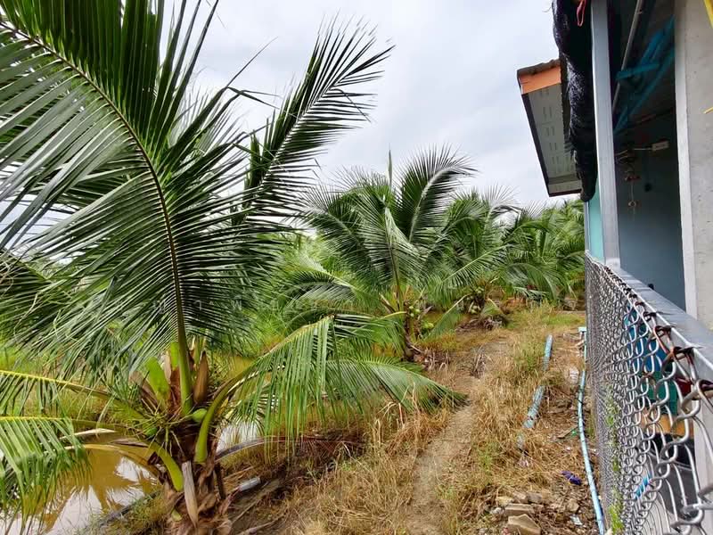 เขาย้อย, Phetchaburi, Khao Yoi, Phetchaburi, , 23,161 sqm, Land For Sale, by ชญาพิชชา พันธกิจ, 500470226 - DDproperty.com