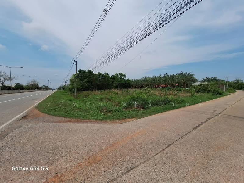 ขายที่ดิน 1,004 ตร.ม. ติดถนนใหญ่ หนองบัวลำภู, หนองบัวลำภู, หนองบัว, เมืองหนองบัวลำภู, หนองบัวลำภู, 1,004 ตร.ม., ที่ดิน ขาย, โดย วีรภัทรา ดาร์เปอร์, 500470230 - DDproperty.com