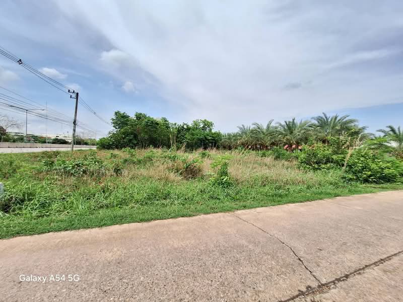 ขายที่ดิน 1,004 ตร.ม. ติดถนนใหญ่ หนองบัวลำภู, หนองบัวลำภู, หนองบัว, เมืองหนองบัวลำภู, หนองบัวลำภู, 1,004 ตร.ม., ที่ดิน ขาย, โดย วีรภัทรา ดาร์เปอร์, 500470230 - DDproperty.com