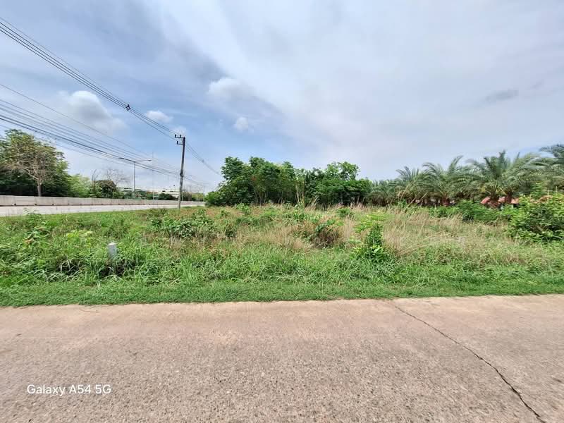 Land of 1,004 Sq. Mt For Sale with Highway Frontage In Nong Bua Lam Phu, Nong Bua Lam Phu, Nong Bua, Muang Nong Bua Lam Phu, Nong Bua Lam Phu, , 1,004 sqm, Land For Sale, by วีรภัทรา ดาร์เปอร์, 500470230 - DDproperty.com