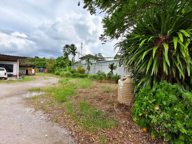 พุนพิน, Surat Thani, Phunphin, Surat Thani, , 2,176 sqm, Land For Sale, by ชญาพิชชา พันธกิจ, 500470246 - DDproperty.com