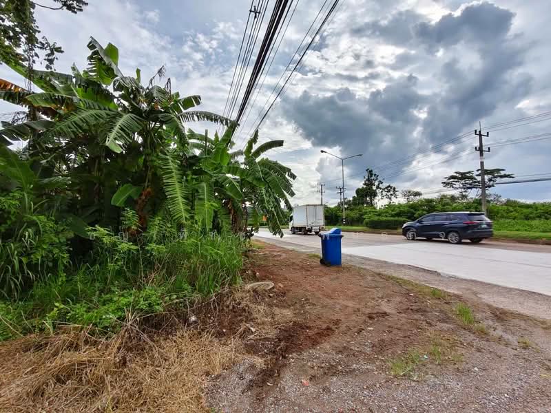 พุนพิน, Surat Thani, Phunphin, Surat Thani, , 2,176 sqm, Land For Sale, by ชญาพิชชา พันธกิจ, 500470246 - DDproperty.com