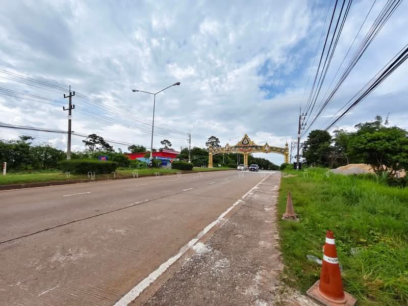 พุนพิน, สุราษฎร์ธานี, พุนพิน, สุราษฎร์ธานี, 2,176 ตร.ม., ที่ดิน ขาย, โดย ชญาพิชชา พันธกิจ, 500470246 - DDproperty.com
