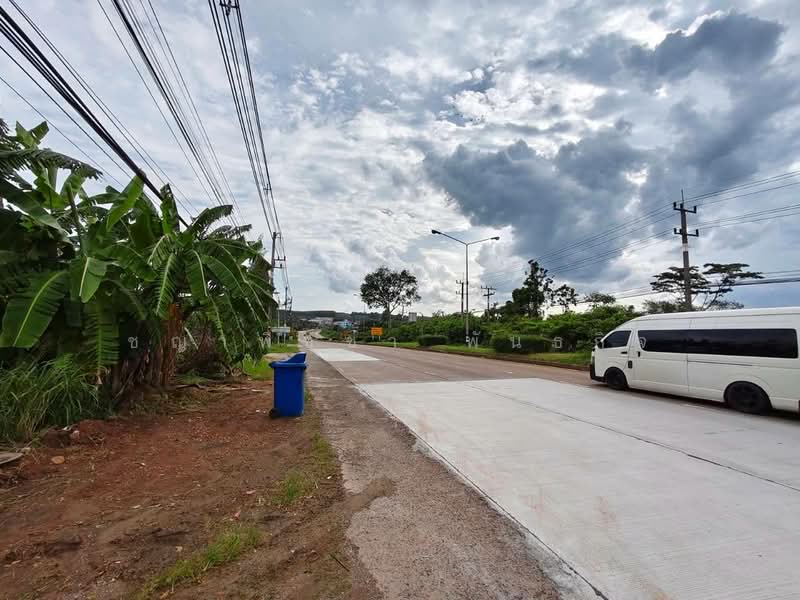 พุนพิน, สุราษฎร์ธานี, พุนพิน, สุราษฎร์ธานี, 2,176 ตร.ม., ที่ดิน ขาย, โดย ชญาพิชชา พันธกิจ, 500470246 - DDproperty.com