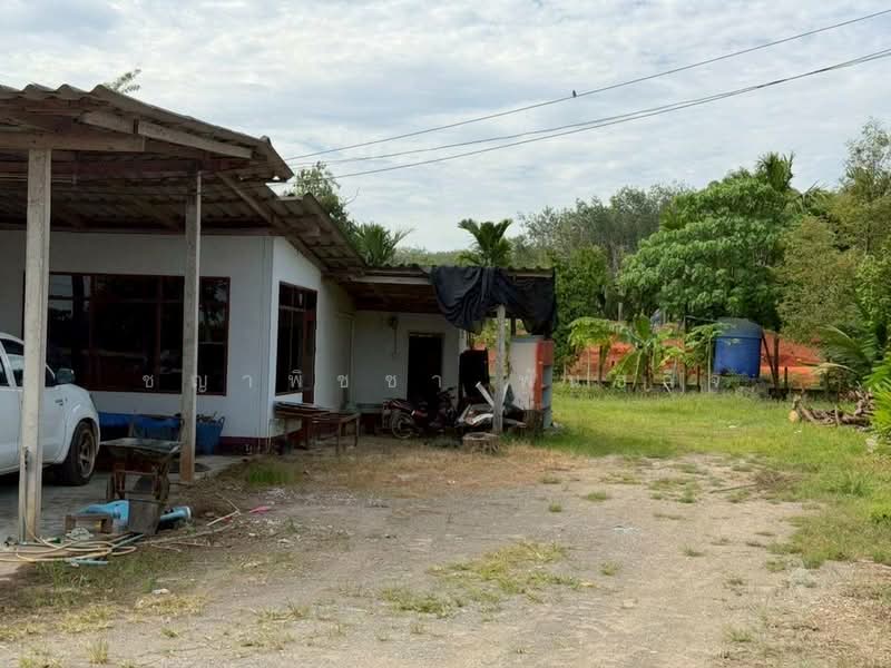 พุนพิน, Surat Thani, Phunphin, Surat Thani, , 2,176 sqm, Land For Sale, by ชญาพิชชา พันธกิจ, 500470246 - DDproperty.com