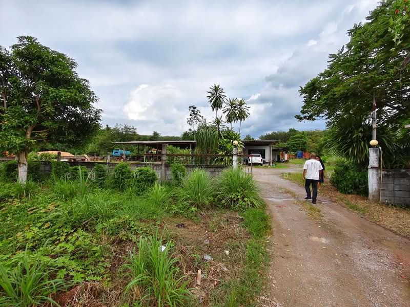 พุนพิน, สุราษฎร์ธานี, พุนพิน, สุราษฎร์ธานี, 2,176 ตร.ม., ที่ดิน ขาย, โดย ชญาพิชชา พันธกิจ, 500470246 - DDproperty.com