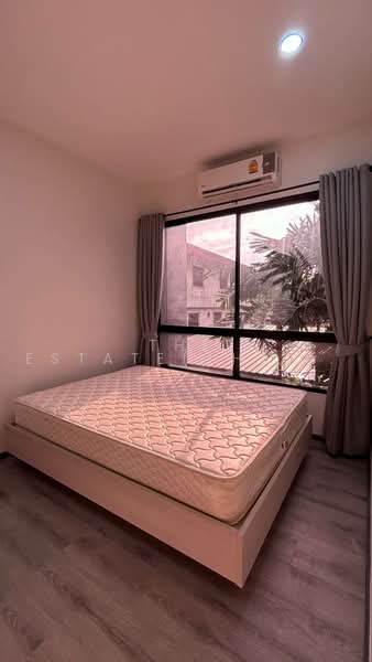 Dolce อุดมสุข, Bangkok, 103/2 สุขุมวิท, Bang Na, Bang Na, Bangkok, 1 Bedroom, 31 sqm, Condo For Rent, by The Estate(Thailand) Limited, 500470250 - DDproperty.com