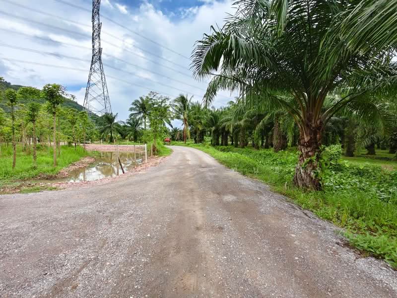 พุนพิน, Surat Thani, Tha Kham, Phunphin, Surat Thani, , 2,608 sqm, Land For Sale, by ชญาพิชชา พันธกิจ, 500470309 - DDproperty.com