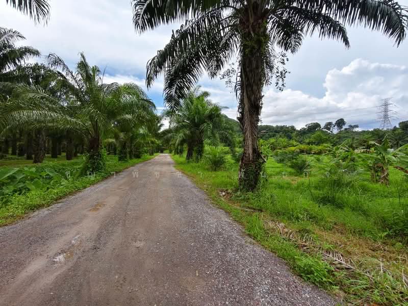 พุนพิน, Surat Thani, Tha Kham, Phunphin, Surat Thani, , 2,608 sqm, Land For Sale, by ชญาพิชชา พันธกิจ, 500470309 - DDproperty.com