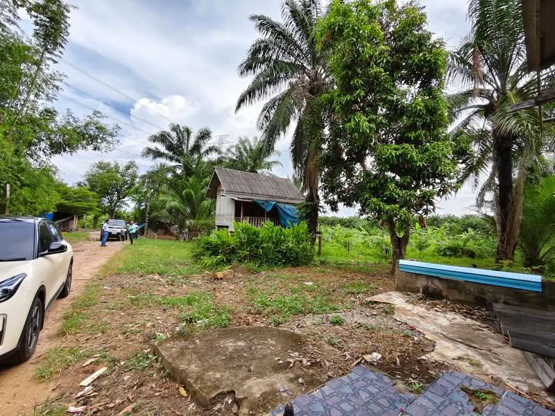 พุนพิน, Surat Thani, Tha Kham, Phunphin, Surat Thani, , 2,608 sqm, Land For Sale, by ชญาพิชชา พันธกิจ, 500470309 - DDproperty.com