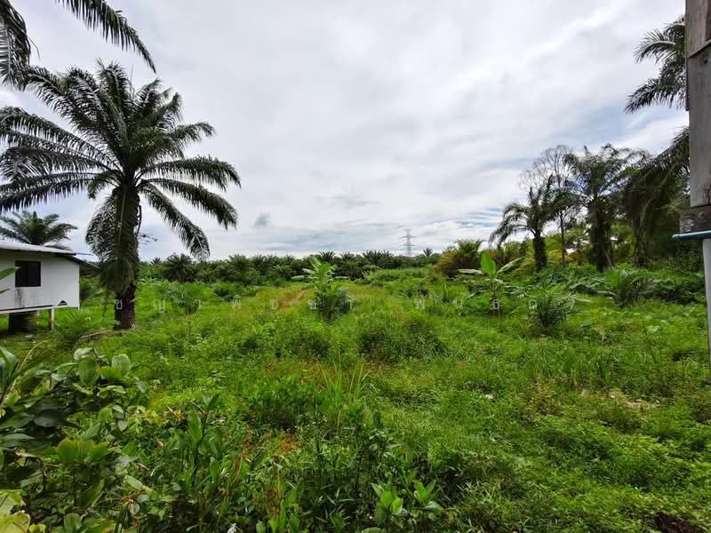 พุนพิน, Surat Thani, Tha Kham, Phunphin, Surat Thani, , 2,608 sqm, Land For Sale, by ชญาพิชชา พันธกิจ, 500470309 - DDproperty.com