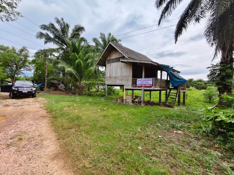 พุนพิน, Surat Thani, Tha Kham, Phunphin, Surat Thani, , 2,608 sqm, Land For Sale, by ชญาพิชชา พันธกิจ, 500470309 - DDproperty.com