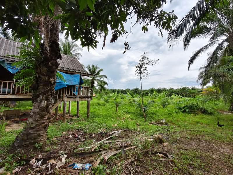 พุนพิน, Surat Thani, Tha Kham, Phunphin, Surat Thani, , 2,608 sqm, Land For Sale, by ชญาพิชชา พันธกิจ, 500470309 - DDproperty.com