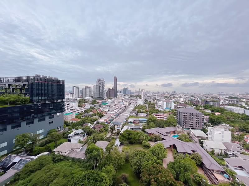 Whizdom Connect Sukhumvit : วิสซ์ดอม คอนเนค สุขุมวิท, กรุงเทพ, 1 ซอยปิยบุตร์ 1 ถนนสุขุมวิท, บางนา, กรุงเทพ, 30 ตร.ม., คอนโด ขาย, โดย Suchada Yodyiem, 500470341 - DDproperty.com