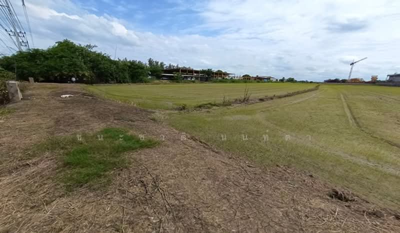Bang Sai-Sena, Phra Nakhon Si Ayutthaya, Bang Zai, Bang-Sai, Phra Nakhon Si Ayutthaya, , 14,400 sqm, Land For Sale, by ชนะชาติ นนท์ตา, 500470394 - DDproperty.com