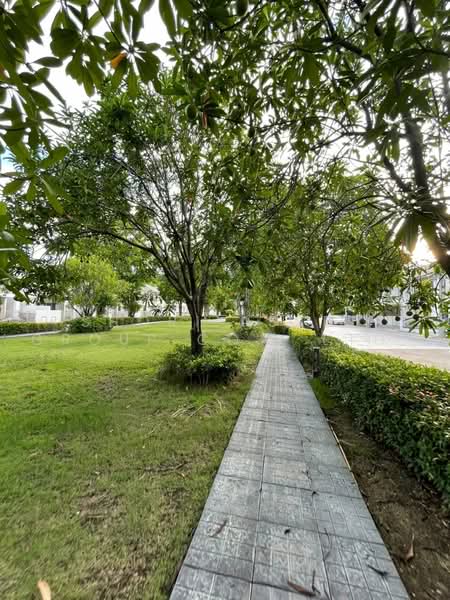 Pruksa Ville 115 Chiang Mai - Payap, Chiang Mai, San Klang, San Kamphaeng, Chiang Mai, 3 Bedrooms, 110 sqm, Townhouse For Rent, by Shori Asset Group Co., Ltd., 500470402 - DDproperty.com