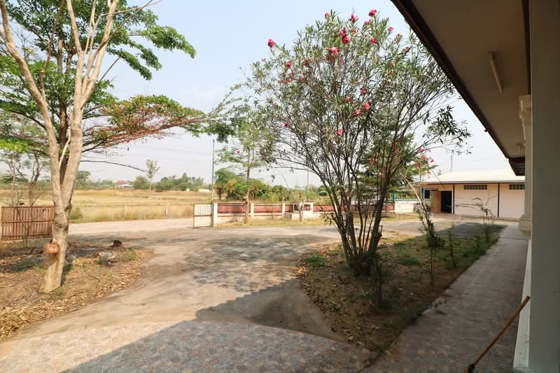 2 Brm 2 Bth Home & Commercial Property for Sale, Non San Nong Bua Lam Phu, Nong Bua Lam Phu, Nong Sawan, Muang Nong Bua Lam Phu, Nong Bua Lam Phu, , 450 sqm, Warehouse/Factory For Sale, by วีรภัทรา ดาร์เปอร์, 500470414 - DDproperty.com
