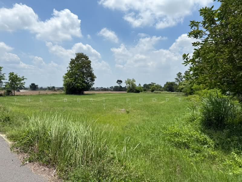 ที่ดินศรีมหาโพธิ ปราจีนบุรี, Prachin Buri, Sri Maha Pho, Prachin Buri, , 29,072 sqm, Land For Sale, by The Best Property โบว์, 500470427 - DDproperty.com