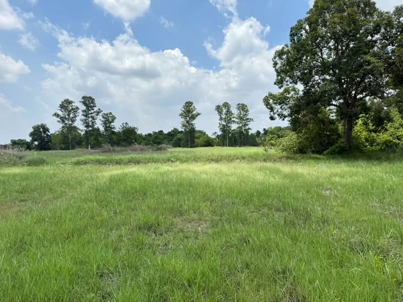 ที่ดินศรีมหาโพธิ ปราจีนบุรี, Prachin Buri, Sri Maha Pho, Prachin Buri, , 29,072 sqm, Land For Sale, by The Best Property โบว์, 500470427 - DDproperty.com