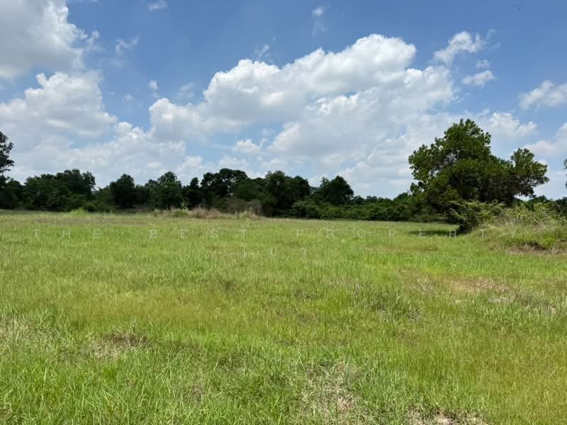 ที่ดินศรีมหาโพธิ ปราจีนบุรี, Prachin Buri, Sri Maha Pho, Prachin Buri, , 29,072 sqm, Land For Sale, by The Best Property โบว์, 500470427 - DDproperty.com