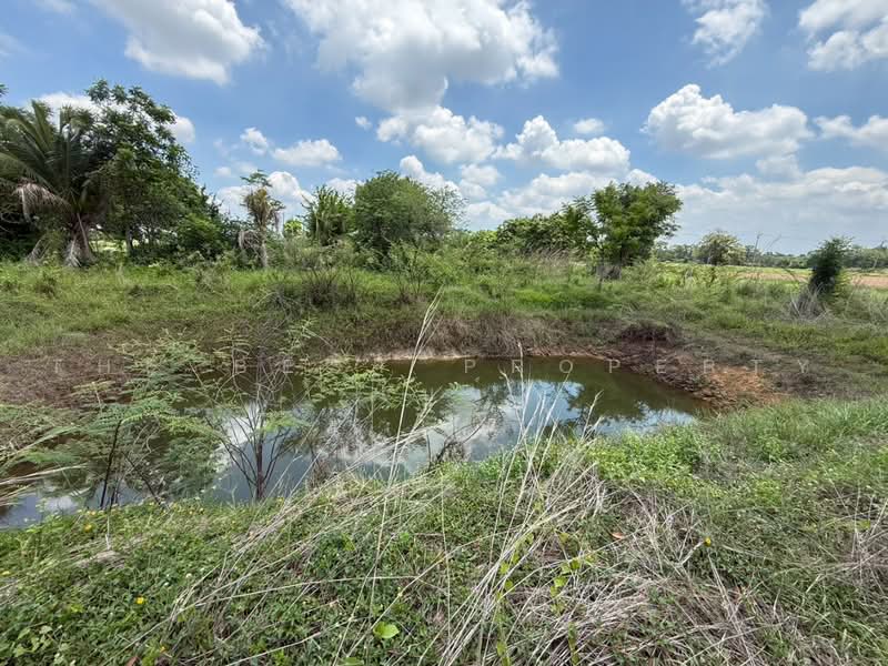 ที่ดินศรีมหาโพธิ ปราจีนบุรี, Prachin Buri, Sri Maha Pho, Prachin Buri, , 29,072 sqm, Land For Sale, by The Best Property โบว์, 500470427 - DDproperty.com