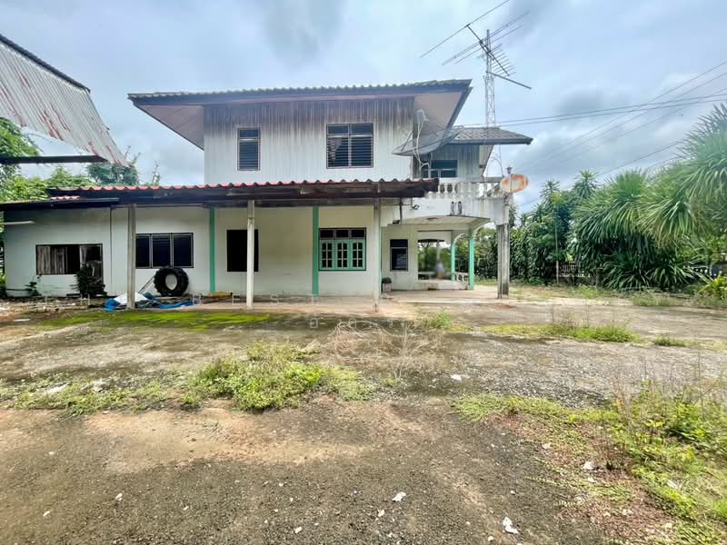 บ้านเดี่ยวพร้อมที่ดินบ้านฝาง ขอนแก่น, ขอนแก่น, ป่าหวายนั่ง, บ้านฝาง, ขอนแก่น, 170 ตร.ม., บ้านเดี่ยว ขาย, โดย The Best Property อัคร, 500470432 - DDproperty.com