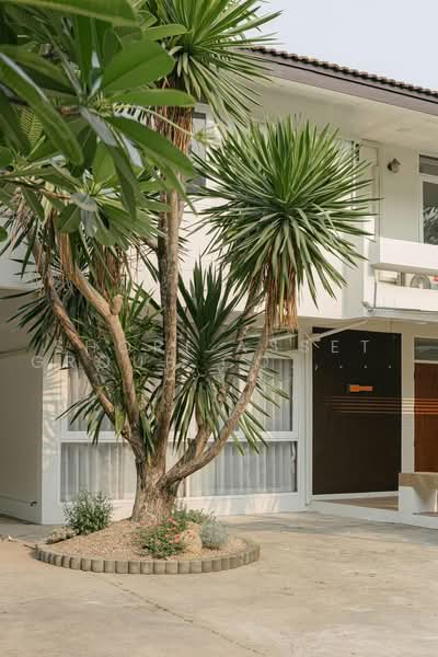 บ้านเดี่ยวนิมมาน, เชียงใหม่, สุเทพ, เมืองเชียงใหม่, เชียงใหม่, 300 ตร.ม., บ้านเดี่ยว ขาย, โดย Shori Asset Group Co., Ltd., 500470445 - DDproperty.com