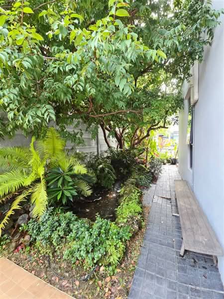 Grande Pleno Phaholyothin-Rangsit, Pathum Thani, 91, Khlong Nung, Khlong Luang, Pathum Thani, 3 Bedrooms, 140 sqm, Townhouse For Sale, by คุณ เพ็ชรจุตพร เพ่งรุ่งเรืองวงษ์ (เพ็ชร), 500470461 - DDproperty.com