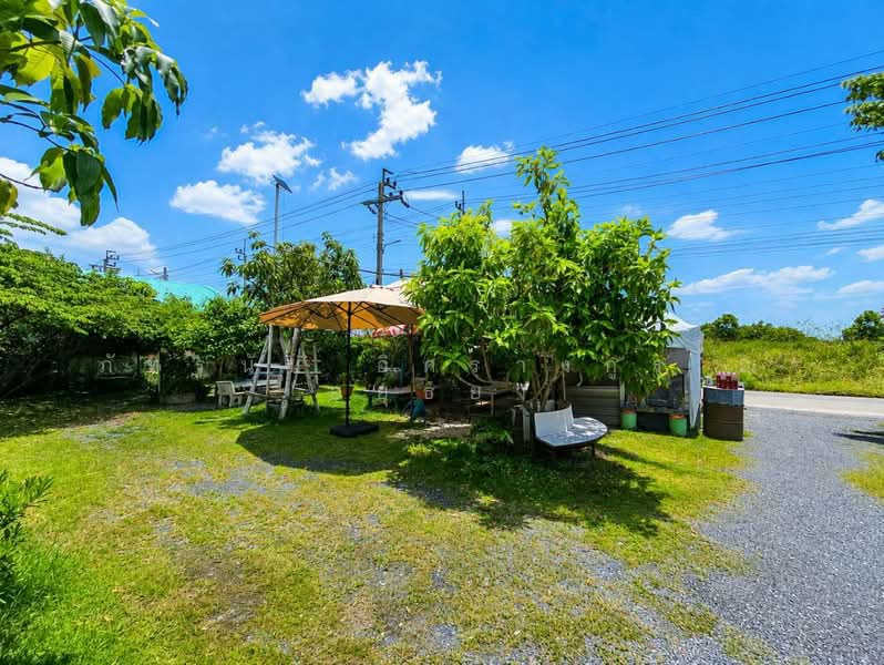 ซอยแสงทอง 1 ถนนโครงการบ้านสุเหร่ากลาง, Nonthaburi, Bang Bua Thong, Nonthaburi, , 1,380 sqm, Land For Sale, by ภัทรนัน อิศรางกูร ณ อยุธยา, 500470466 - DDproperty.com