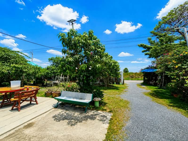 ซอยแสงทอง 1 ถนนโครงการบ้านสุเหร่ากลาง, Nonthaburi, Bang Bua Thong, Nonthaburi, , 1,380 sqm, Land For Sale, by ภัทรนัน อิศรางกูร ณ อยุธยา, 500470466 - DDproperty.com