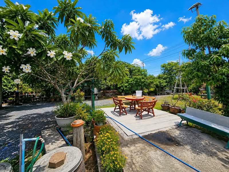 ซอยแสงทอง 1 ถนนโครงการบ้านสุเหร่ากลาง, Nonthaburi, Bang Bua Thong, Nonthaburi, , 1,380 sqm, Land For Sale, by ภัทรนัน อิศรางกูร ณ อยุธยา, 500470466 - DDproperty.com