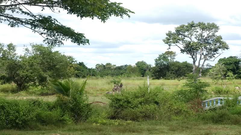 3 Rai Land for Sale Mu Mon Udon Thani Thailand, Ready to Build Plot, Udon Thani, Mu Mon, Muang Udon Thani, Udon Thani, , 4,752 sqm, Land For Sale, by วีรภัทรา ดาร์เปอร์, 500470505 - DDproperty.com
