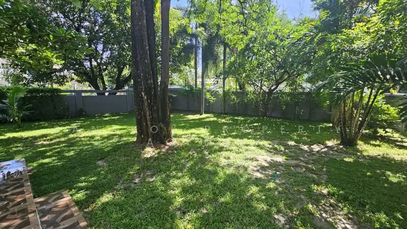 House with big garden in Onnut, Bangkok, Bang Chak, Phra Khanong, Bangkok, 5 Bedrooms, 700 sqm, Single Detached House For Rent, by BANGKOK PROPERTY AGENTS, 500470671 - DDproperty.com