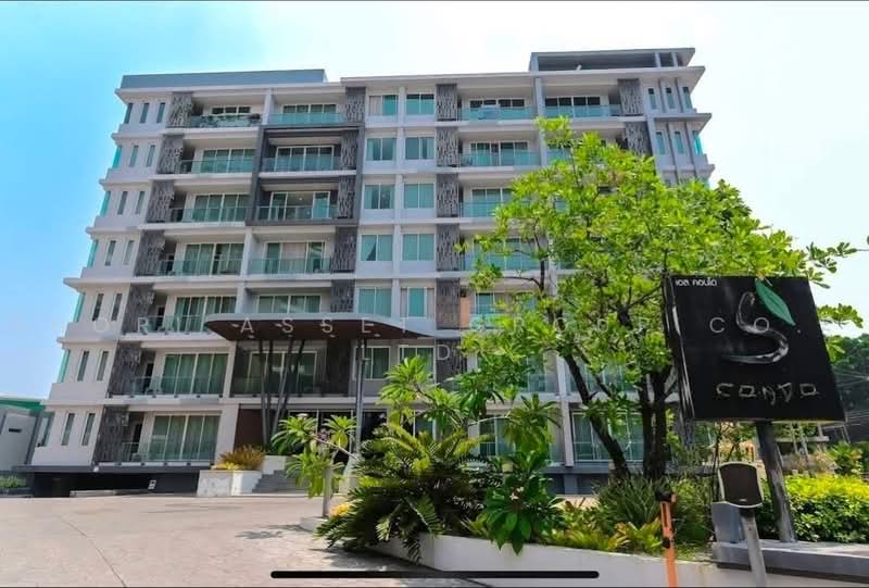 S Condo Chiang Mai : เอส คอนโด เชียงใหม่, เชียงใหม่, สุเทพ, เมืองเชียงใหม่, เชียงใหม่, 65 ตร.ม., คอนโด ให้เช่า, โดย Shori Asset Group Co., Ltd., 500470692 - DDproperty.com